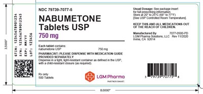 Nabumetone (750 mg)